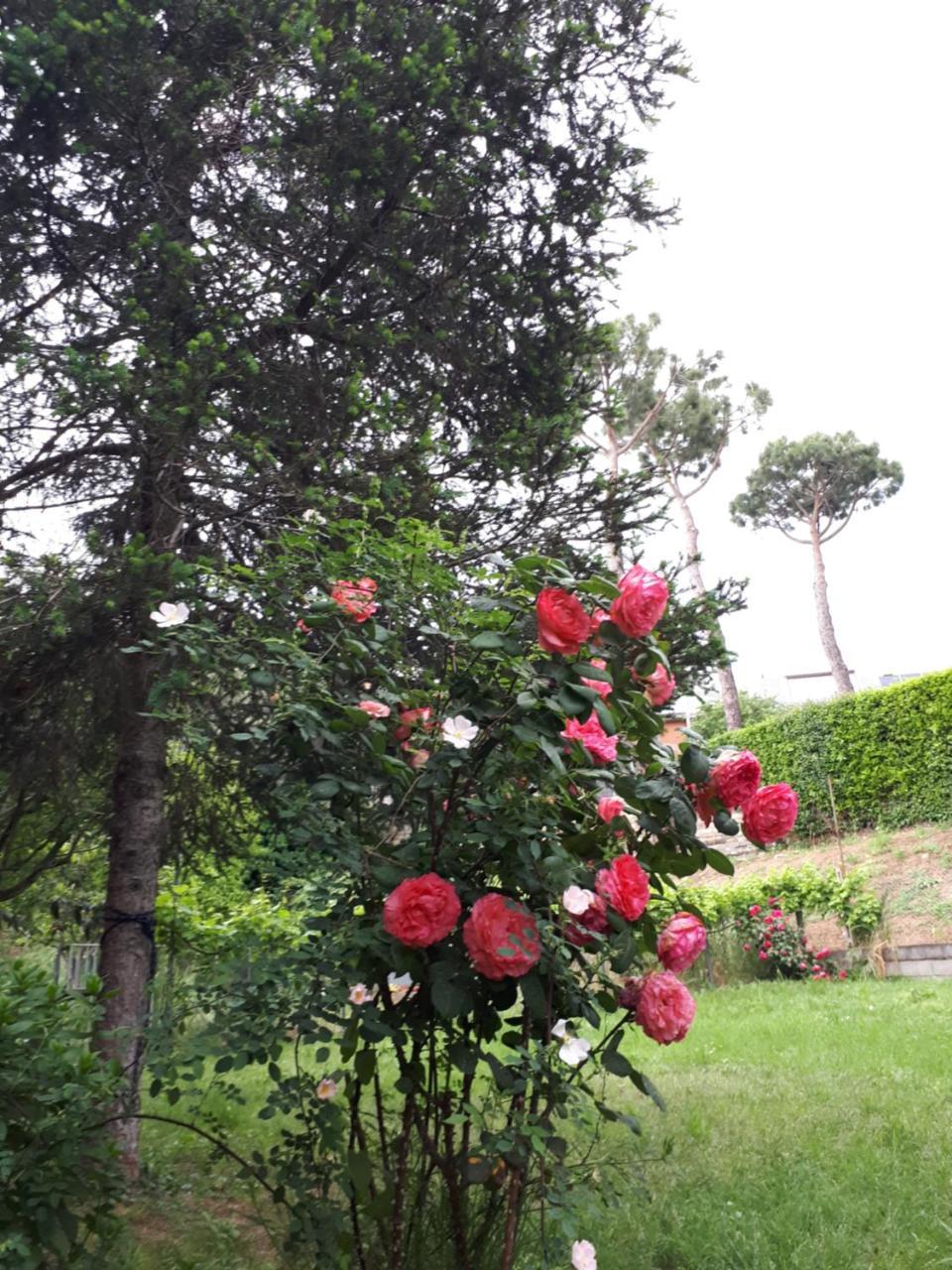 B&B Papa Leone Countryrooms Rome Luaran gambar