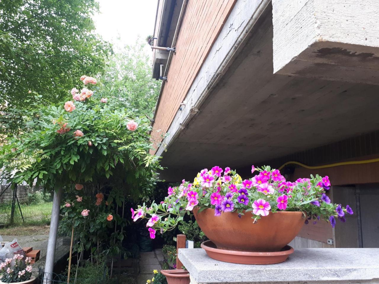 B&B Papa Leone Countryrooms Rome Luaran gambar