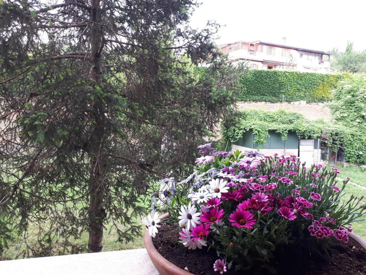 B&B Papa Leone Countryrooms Rome Luaran gambar
