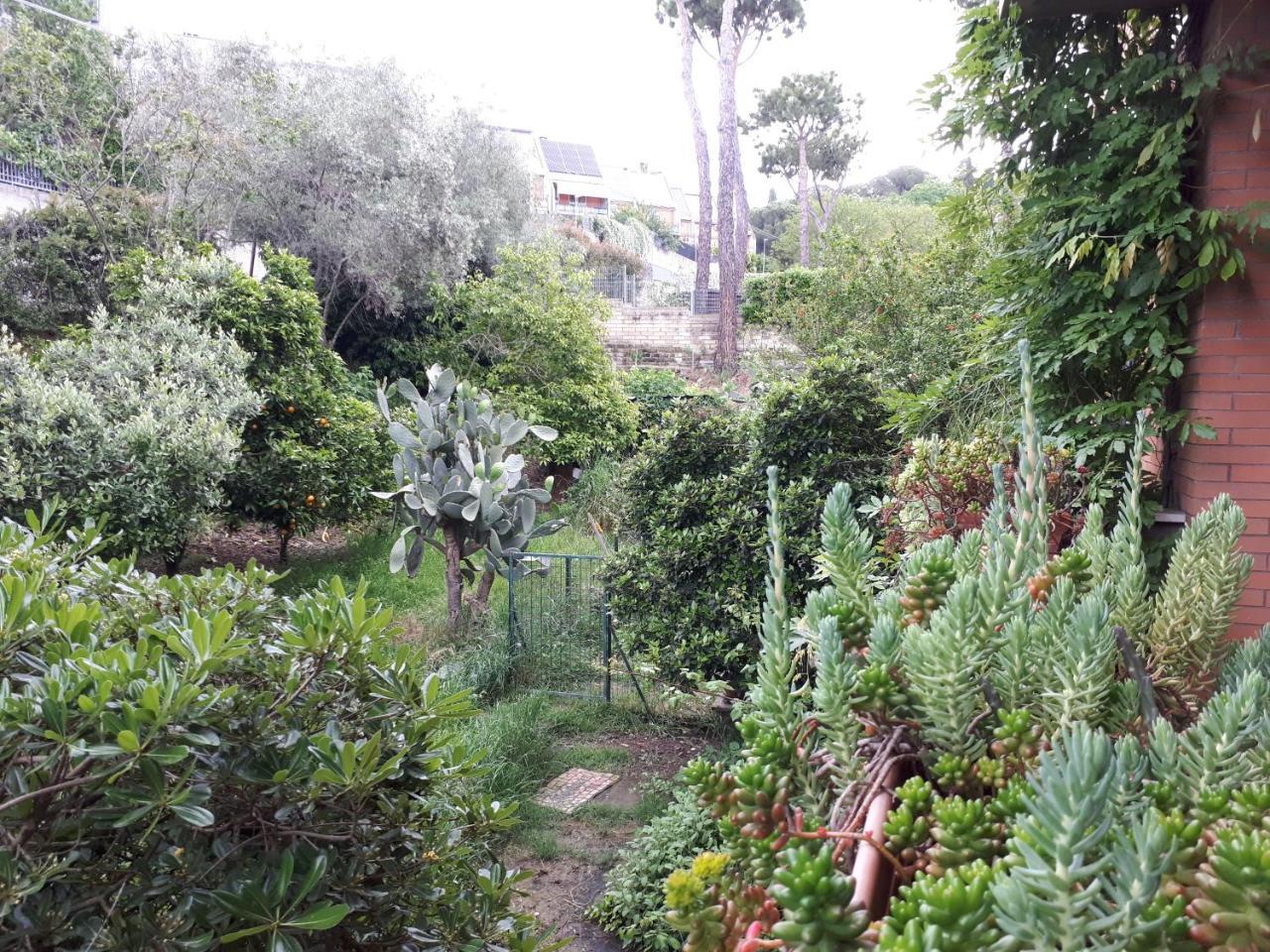 B&B Papa Leone Countryrooms Rome Luaran gambar